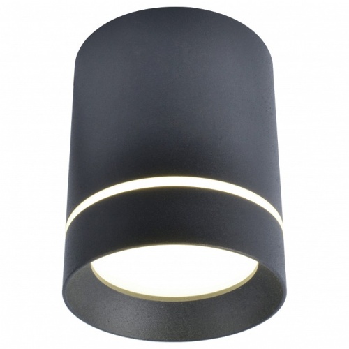 Накладной светильник Arte Lamp Elle A1909PL-1BK в Арзамасе