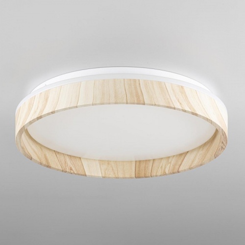 Накладной светильник Citilux ENZO CL753352G в Нижнем Новгороде фото 10