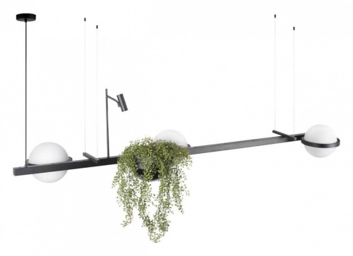 Подвесной светильник Loft it Jardin 10121/C в Нижнем Новгороде фото 2