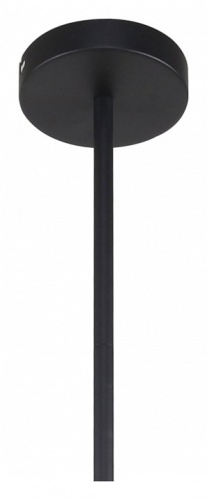 Люстра на штанге F-promo Chart 3092-10P в Нижнем Новгороде фото 2