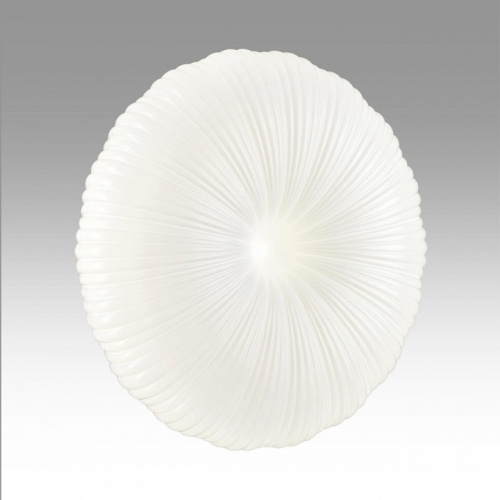 Накладной светильник Sonex PALE 7678/ELN в Нижнем Новгороде фото 4