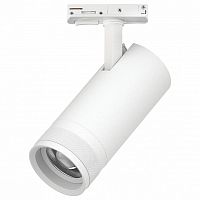 Светильник на штанге Lightstar Canno Pro C4206SS в Нижнем Новгороде