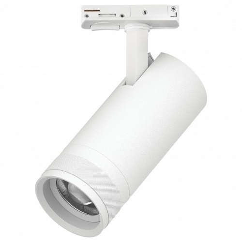 Светильник на штанге Lightstar Canno Pro C4206SS в Нижнем Новгороде