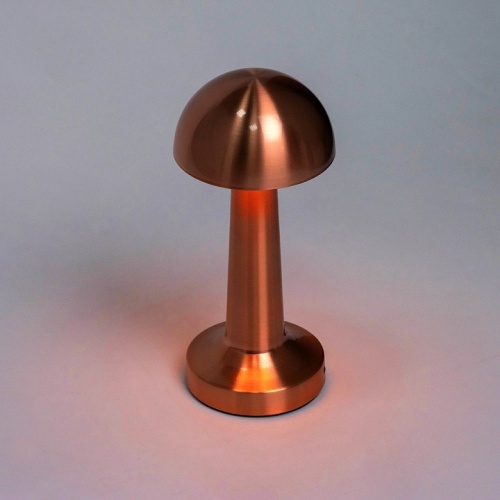 Настольная лампа декоративная Escada Evo 10257/L LED в Нижнем Новгороде фото 5