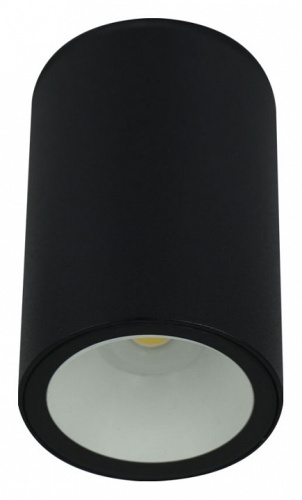 Накладной светильник Arte Lamp A1807 A1807PF-1BK в Нижнем Новгороде