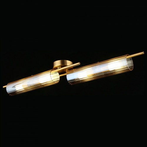 Накладной светильник Aployt Lusia APL.315.07.04 в Нижнем Новгороде фото 2