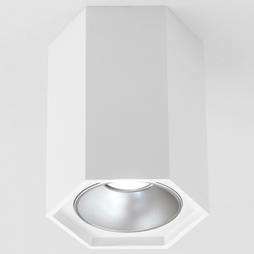 Накладной светильник Elektrostandard 25036/LED a055856 в Нижнем Новгороде