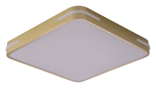 Накладной светильник Zortes Gabby ZRS.1215.03 в Нижнем Новгороде