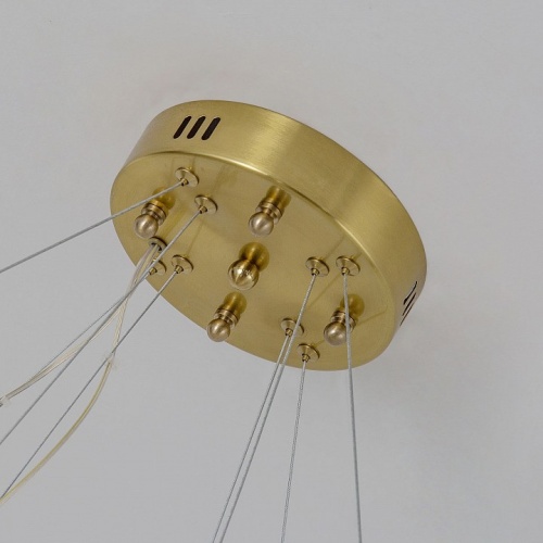 Подвесной светильник Favourite Placerat 4012-12P в Нижнем Новгороде фото 2