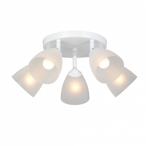 Потолочная люстра Vitaluce V4355 V4355-0/5PL в Нижнем Новгороде фото 4