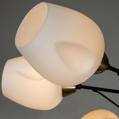 Потолочная люстра Arte Lamp Brighton A2706PL-8CK в Владивостоке фото 2