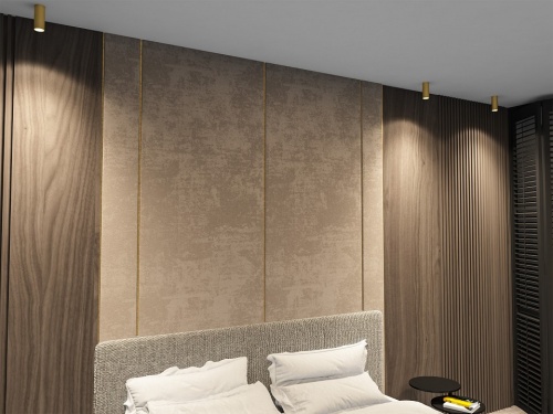 Накладной светильник Denkirs TUBE DK2051-SG в Нижнем Новгороде фото 2