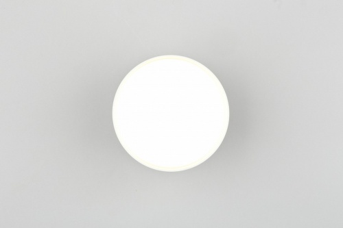 Накладной светильник Omnilux Abano OML-103309-12 в Нижнем Новгороде фото 5