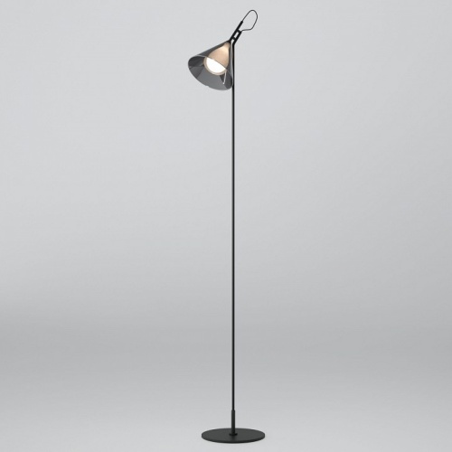 Торшер Eurosvet Enigma 01187/1 черный в Нижнем Новгороде