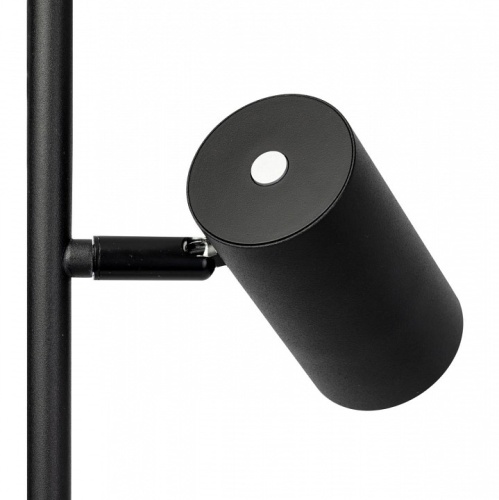 Торшер Citilux Twin CL809011N в Нижнем Новгороде фото 3