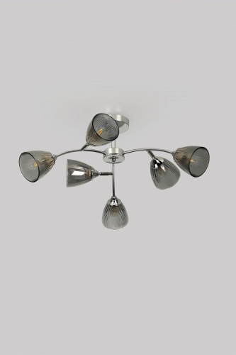 Люстра на штанге Rivoli Francheska Б0068457 в Нижнем Новгороде фото 5