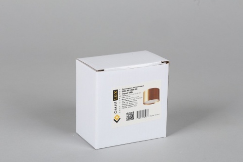 Накладной светильник Omnilux Abano OML-103329-06 в Нижнем Новгороде фото 4