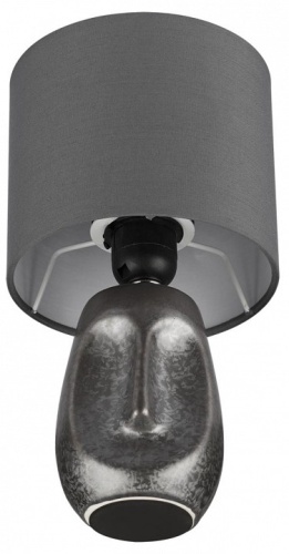 Настольная лампа декоративная Lumion Akivi 8147/1Т в Нижнем Новгороде фото 4