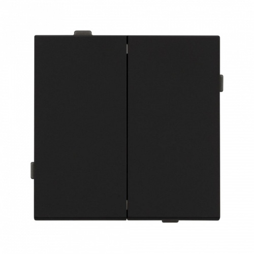 Выключатель двухклавишный без рамки Arlight SWT 054544 в Нижнем Новгороде фото 2