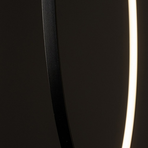 Подвесной светильник Nowodvorski Circolo Led M 10861 в Белокурихе фото 7