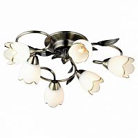 Потолочная люстра Arte Lamp Perce A6061PL-6AB в Нижнем Новгороде