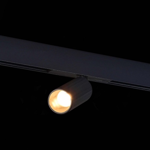 Светильник на штанге ST-Luce ST807 ST807.436.12 в Арзамасе фото 2
