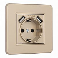 Розетка с заземлением и со шторкой и 2хUSB Arte Milano SET16-1 SET16-1-47-1 shampan в Нижнем Новгороде