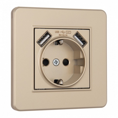 Розетка с заземлением и со шторкой и 2хUSB Arte Milano SET16-1 SET16-1-47-1 shampan в Нижнем Новгороде