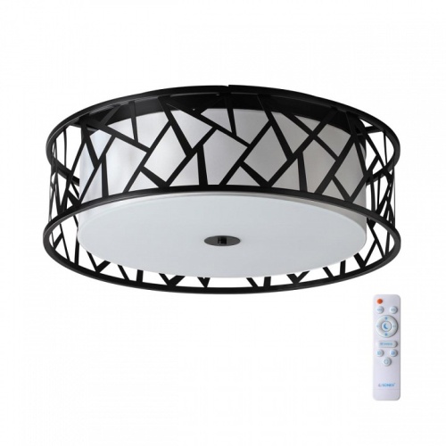 Накладной светильник Sonex Fabiana 7700/60L в Нижнем Новгороде фото 2