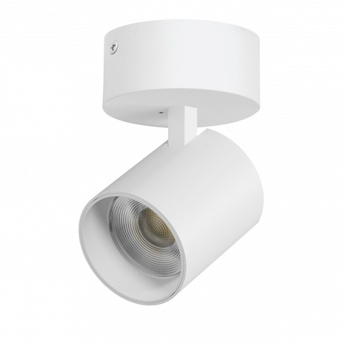 Спот Lightstar Alta Base A5446SO в Нижнем Новгороде фото 3