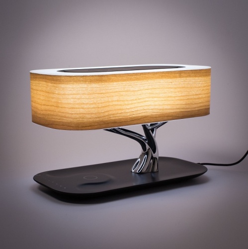 Настольная лампа декоративная Citilux Ньютон CL803042 в Сычевке фото 4