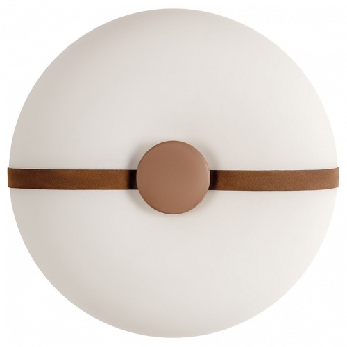 Накладной светильник Loft it Bolina 10473 в Нижнем Новгороде фото 4