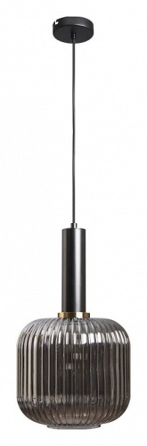 Подвесной светильник Loft it Iris 2070-B+BL в Нижнем Новгороде фото 5