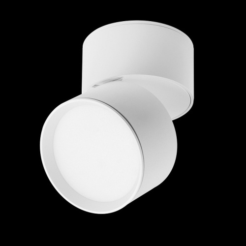 Накладной светильник Lightstar Acuto 215836 в Нижнем Новгороде фото 2