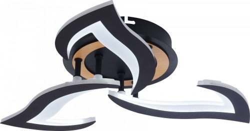 Люстра на штанге Rivoli Cassandra 6194-703 в Нижнем Новгороде фото 2