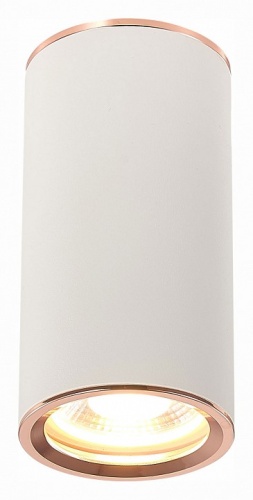 Накладной светильник ST-Luce Chomus ST111.527.01 в Нижнем Новгороде фото 6