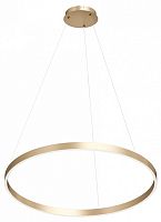 Подвесной светильник Denkirs RAYDIA DK6272-SG в Нижнем Новгороде