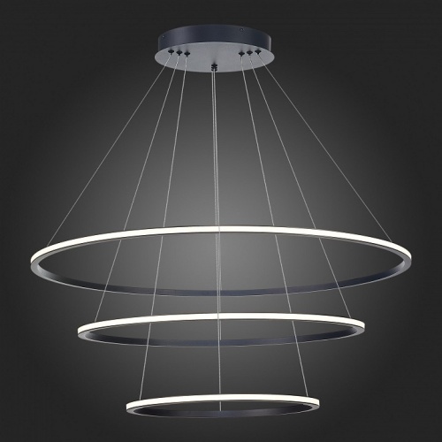 Подвесной светильник ST-Luce ST604 OUT ST604.443.114 в Нижнем Новгороде фото 2