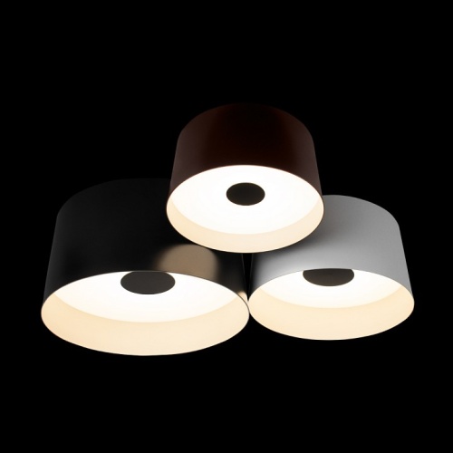 Потолочная люстра Loft it Duo 10360/3 в Нижнем Новгороде фото 3