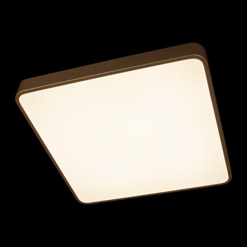 Накладной светильник Loft it Flims 10228/D в Заполярном фото 7