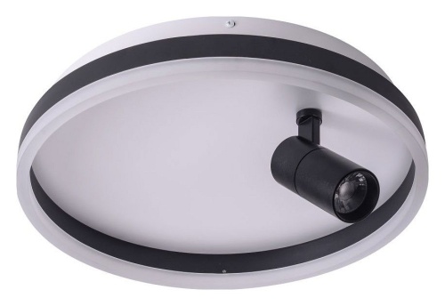 Накладной светильник Zortes Raizy ZRS.1888.03 в Нижнем Новгороде фото 7