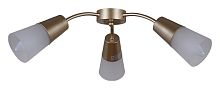 Потолочная люстра 01266-0.3-03B GOLD в Нижнем Новгороде