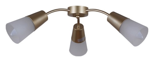 Потолочная люстра 01266-0.3-03B GOLD в Нижнем Новгороде