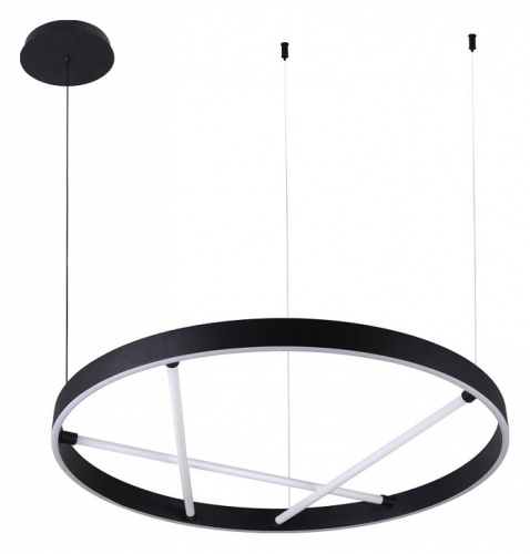 Подвесной светильник Arte Lamp Ricco A1874SP-45BK в Нижнем Новгороде фото 2