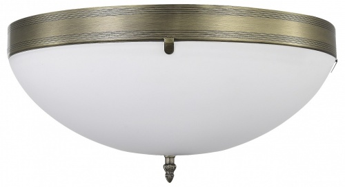 Накладной светильник MyFar Biene MR2521-3W в Нижнем Новгороде