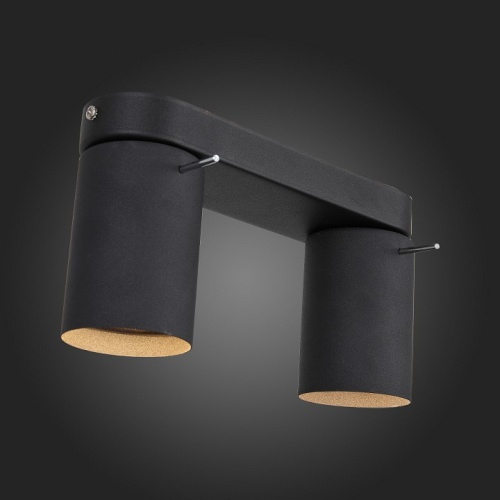 Спот ST-Luce Fanale SL597.401.02 в Нижнем Новгороде фото 3