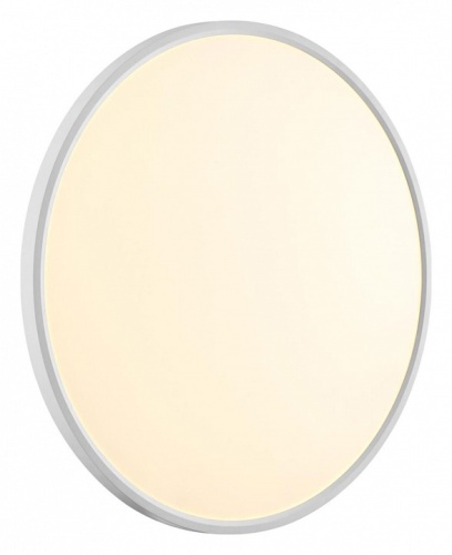 Накладной светильник Sonex Alfa White 7659/48L в Нижнем Новгороде фото 3