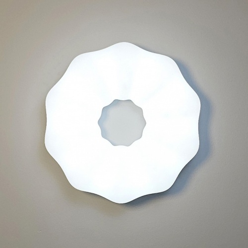 Накладной светильник Zortes Soft ZRS.1118.2 в Нижнем Новгороде фото 10