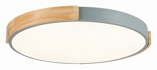 Накладной светильник EVOLUCE Delia SLE201372-01 в Нижнем Новгороде фото 3