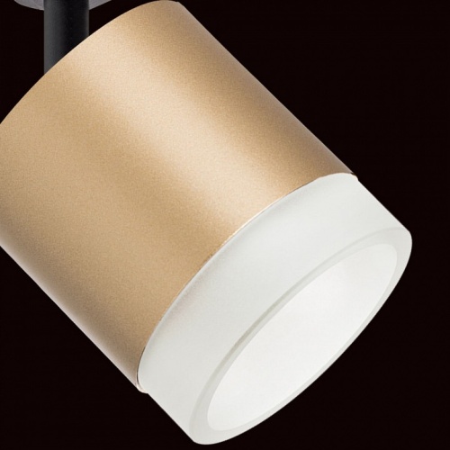 Светильник на штанге Lightstar Rullo R1T349080 в Нижнем Новгороде фото 2